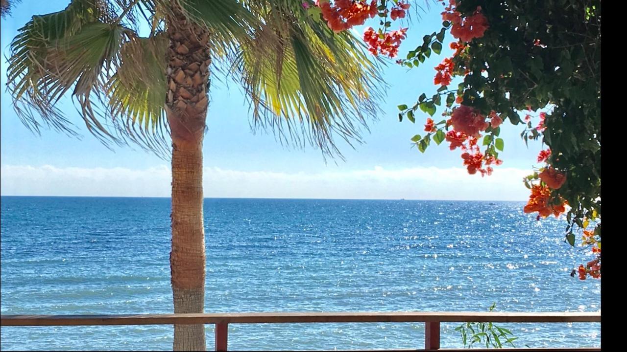 Mi Capricho Beachfront- 3-7 Apartment With Sea Views Sitio de Calahonda Exterior foto